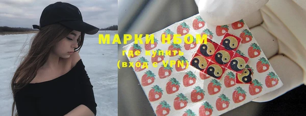 мяу мяу мука Гусь-Хрустальный