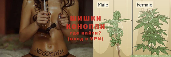 стафф Горнозаводск