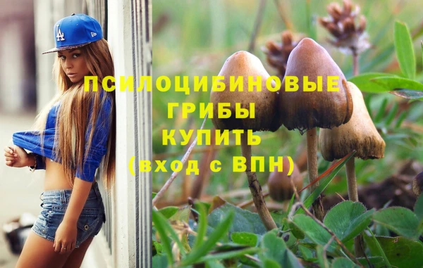 экстази Гусиноозёрск
