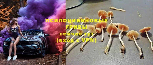таблы Горняк