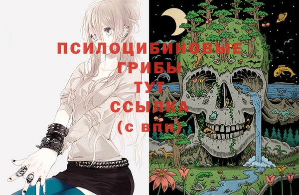 таблы Горняк