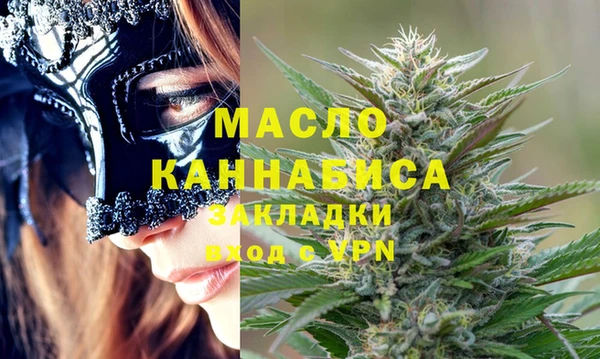 гидра Вяземский