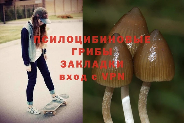 стафф Горнозаводск